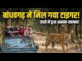 बांधवगढ़ टाइगर रिजर्व में टाइगर देखने का मौका मिला ! #bandhavgarhnationalpark #tiger #nationalpark