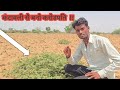 करोड़पति बन जावोग कंटावली (कंटाला) #कंटवली #कंटाला !! Narayan Indra Vlogs