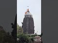 pavitra bhumi par sabhi bhakto ka swagat h..#love #trendingshorts #shortsfeed #bhakti #jagannath