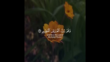 لقد جاءكم رسول من أنفسكم... | تلاوة هادئة