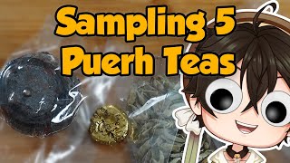 Sampling 5 Puerh Teas「 Chat & Tea 」drinkgreattea review
