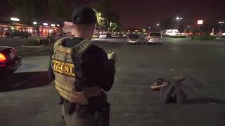 This dude having a blast getting arrested