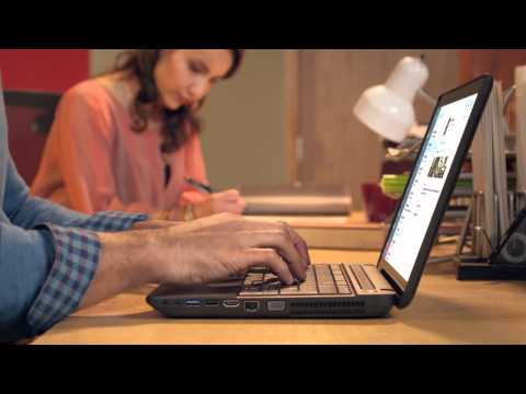 Microsoft OEM: Lifestyle