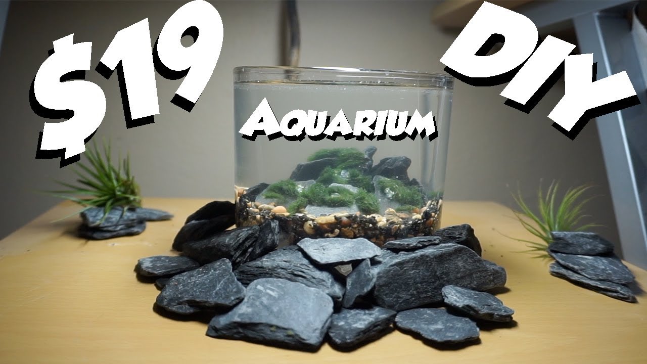 Desktop Aquarium Diy Nano Planted Aquarium Youtube