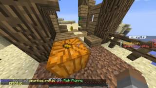 Mineplex SSm EP1