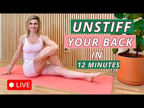 12-Min Low Back