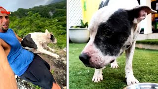 Hiker Rescues Lost Dog From 1,000-Foot Cliff