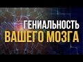 Гениальность вашего мозга!