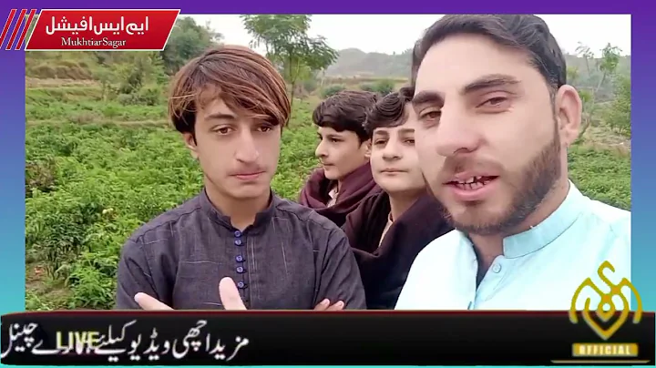 Grow tomatoes for your family with this method, you won't have to buy tomatoes anymore#Tomato