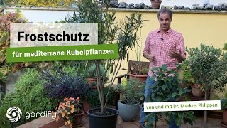 Frostschutz Für Mediterrane Kübelpflanzen Gardify Tipps