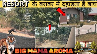 Resort के बराबर में घूमते हैं बाघ | Big Mama Aroma | Jim Corbett National Park #tiger #uttarakhand