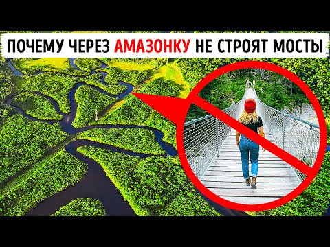 Видео: Когда началось выполнение амазонкой?