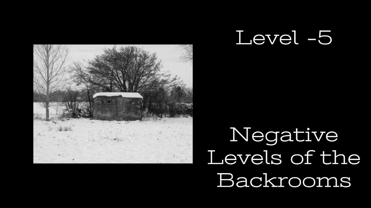 Negative Levels? : r/backrooms