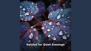Rainfall Quiet Evening Sound, Pt.30