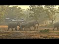 ELEPHANTS OF ASSAM [] CONFLICT WITH VILLAGERS