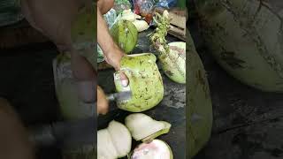 Amazing coconut cutting skills #coconut #skills #cuttingskills #fruitcutting