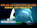 Los Octonautas - Cooperación en el rescate de manatíes | Día de la concienciación sobre los manatíes