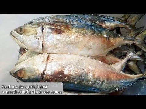 วีดีโอ: ปลาทูเค็มรสเผ็ด: สูตรกฎการเก็บรักษาที่บ้าน Storage