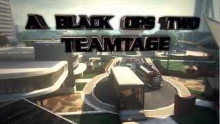 "Nuclear" Teamtage BO2 | High Class Sniping screenshot 4