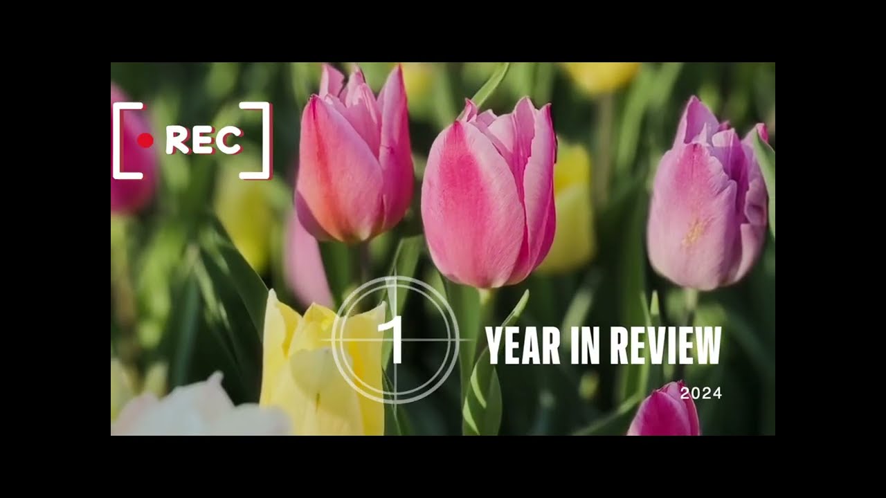 Best Family Hiking Trails 2024!