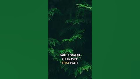 The Path of Least Resistance is Abundance