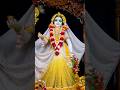 Best Darshan of RadhaMadhaba💞🥰 #shorts #shortvideo #radhakrishna