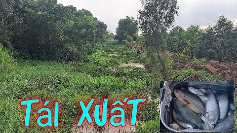 Lâu lâu tái xuất vẫn trúng ổ#caucahocmon