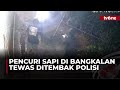 Tak Hiraukan Peringatan, Maling Sapi di Bangkalan Tewas Ditembak