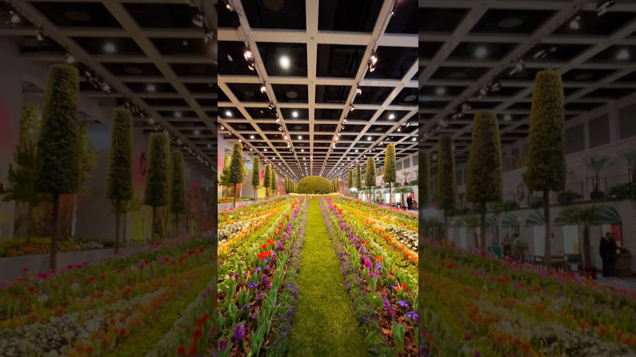 100 Gr&uuml;ne Woche Berlin 16.01-25.01.2026 &hellip; #berlin #travel #gr&uuml;newoche #blumen #gr&uuml;newocheberlin