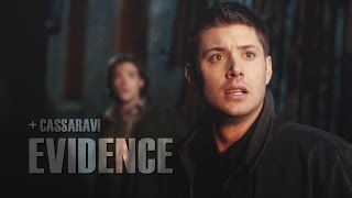 evidence • multifandom [+Cassaravi]