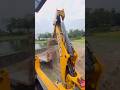 Jcb king alip raj 😎 #viral #automobile #jcb #viral #shorts
