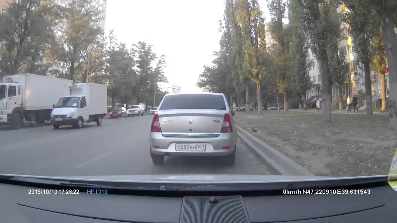 Голубь попал под машину