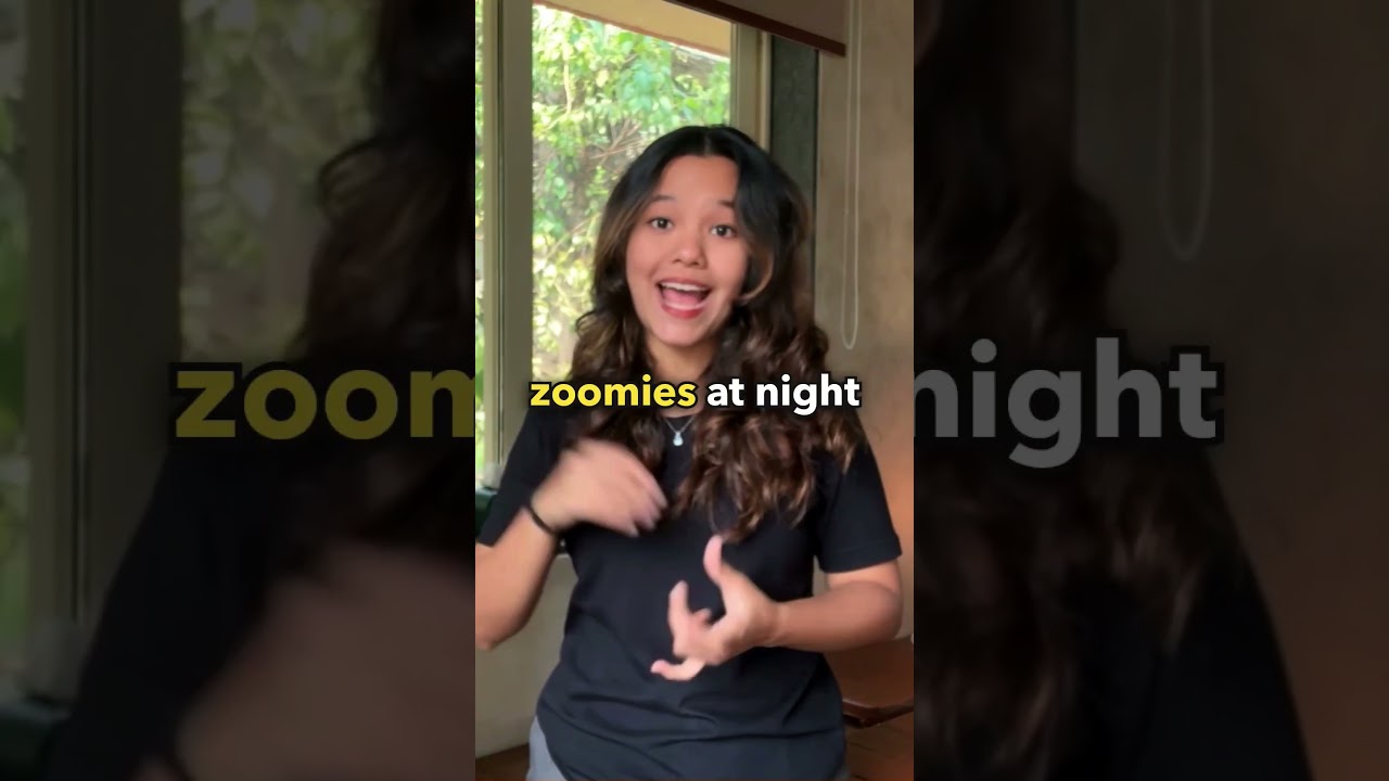 UNLOCK THE SECRETS TO A PEACEFUL, PLAY-FUL LIFE WITH YOUR CAT