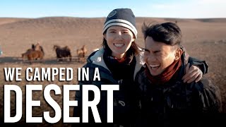 TSL Travels: Camping in a Mongolian Desert for 3 Nights at 6 Degrees!