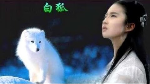 陈瑞一首《白狐》痴情人千万别听！虐恋情深，听出自己的故事
