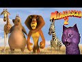 Мадагаскар 2 Полет в Африку на самолете с говорящим КОТЕНКОМ АБИ 🐱 Madagascar 2