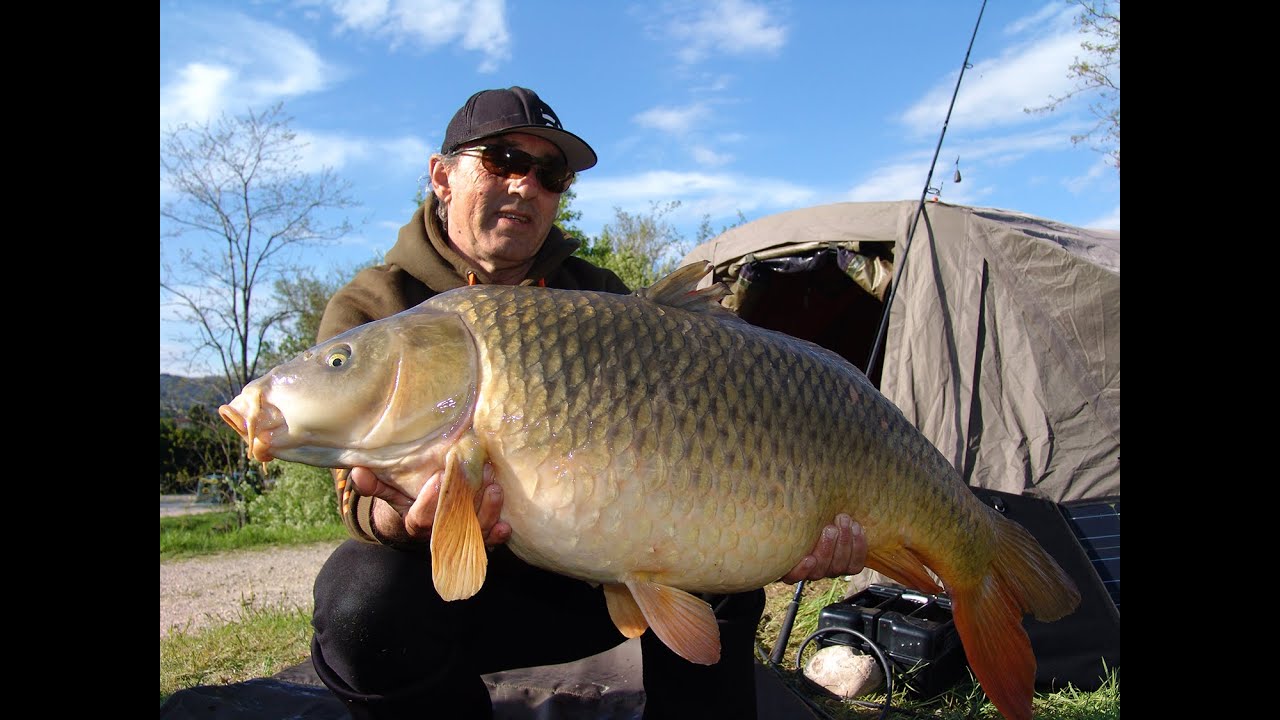 Angeln auf Karpfen an der Rhone in Frankreich mit Klaus Brix
