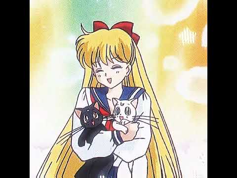 Sailor Scouts 💓