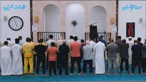 "إنا نحن نزلنا عليك القرآن تنزيلا" تلاوة ماتعة من سورة الإنسان (أبو حفص هاني ابن نورالدين)