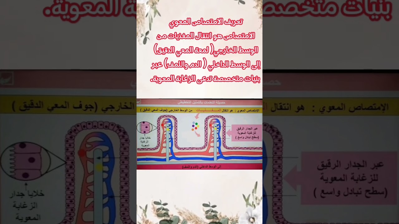 تعريف الامتصاص المعوي