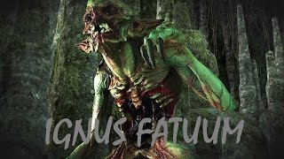 Ведьмак 3 - Красный барон и Анна (куклы) и заказ чудище с болот Ignis Fatuus (Hard)