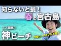 【3月の宮古島】穴場ビーチと絶品グルメ巡り！ホテルローカス宿泊Vlog