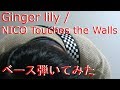 【動画内TAB譜有・オケなし】Ginger lily /NICO Touches the Wallsベース弾いてみた 【GreenMan BASS(VSラーテル)】