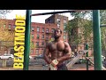 Big chest arms Back Workouts Calisthenics