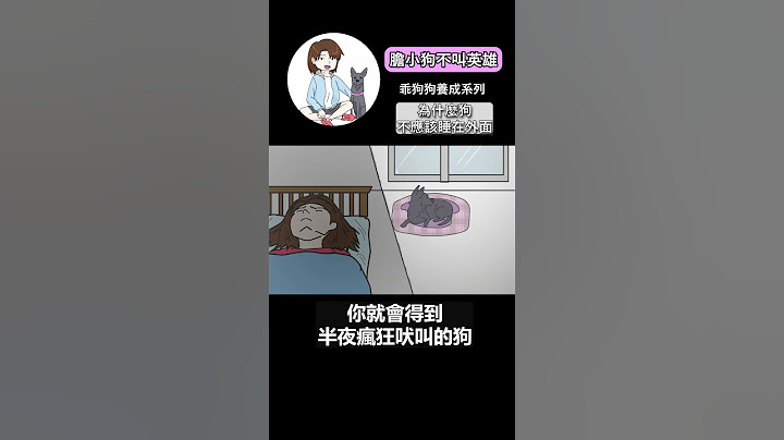 為什麼狗不應該睡在外面 #膽小狗不叫英雄 #乖狗狗養成系列 #狗 #原創動畫 #訓犬