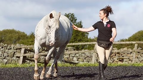 CONNECTION TRAINING WITH HANNAH WESTON AND RACHEL BEDINGFIELD