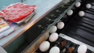 MT-108  egg grading machine