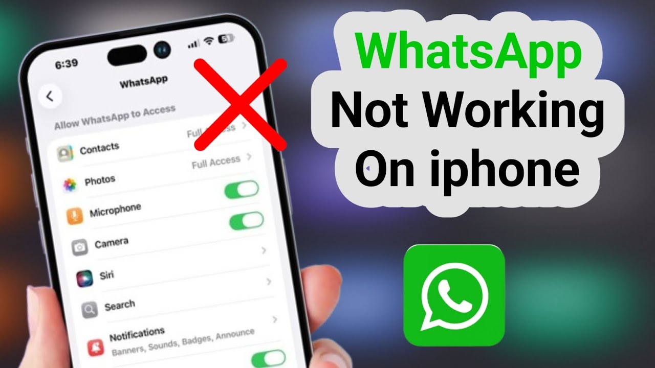 How to Fix WhatsApp Not Working on iPhone | WhatsApp Crashing or Not ...