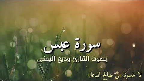 سورة عبس بصوت القارئ وديع اليمني