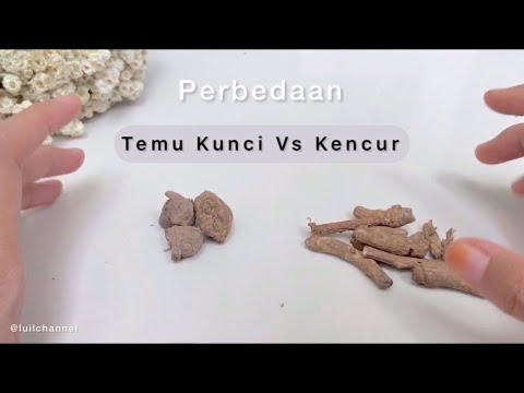 Video: Apakah kunci perbezaan?